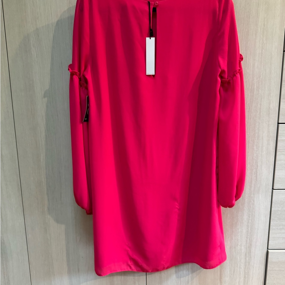 Balloon Ruffle Sleeved Mini Dress - Picture 4 of 12